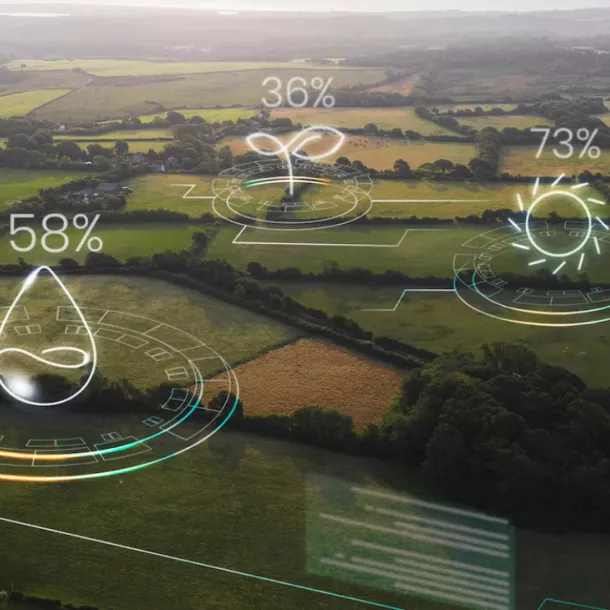 Smart Farming Visualisierung