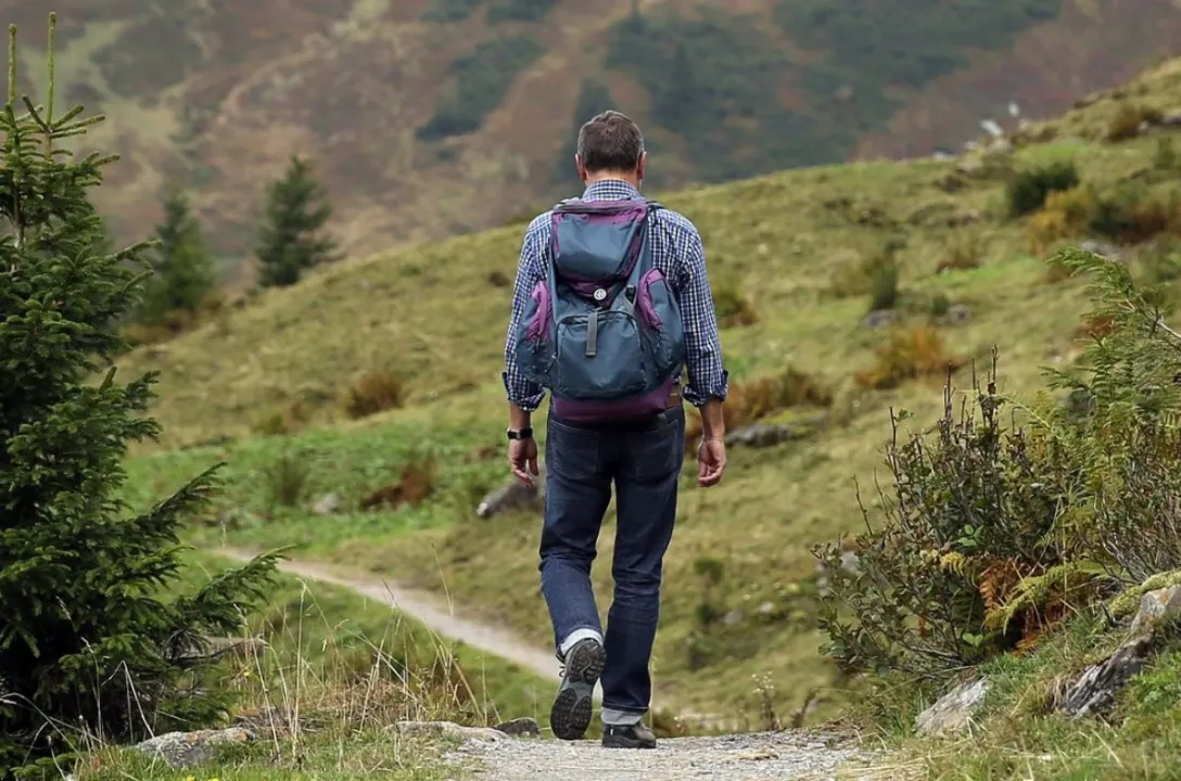 Wanderer in grüner Natur mit Wanderrucksack