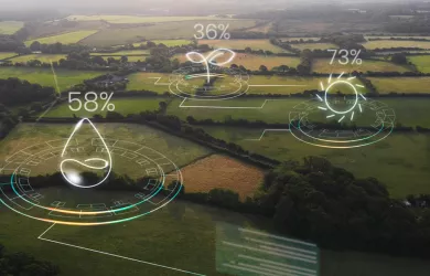 Smart Farming Visualization